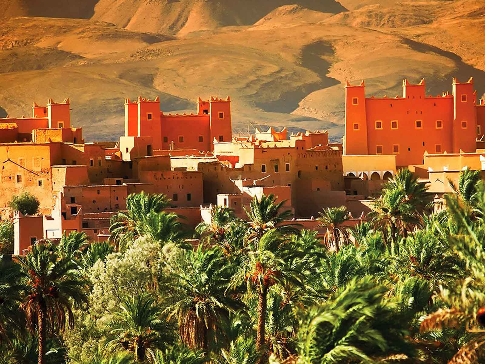 Tours From marrakech