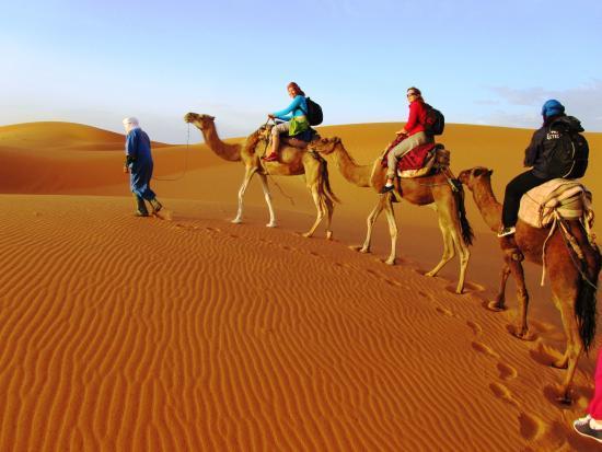 Camel Trekking in Merzouga